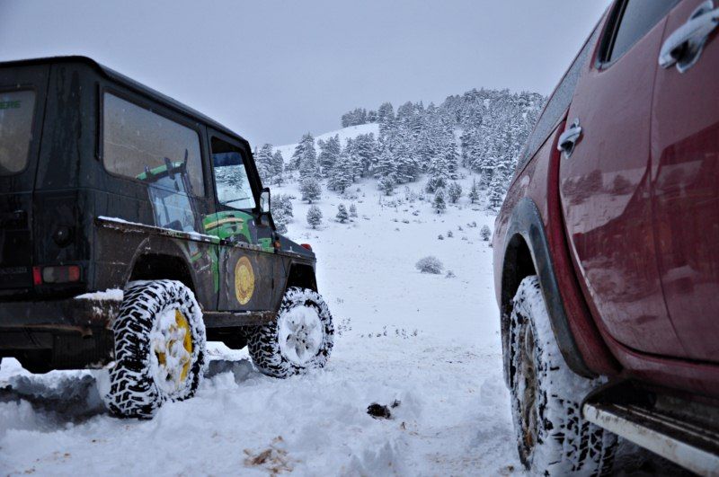 DSC_0606 [800x600].jpg