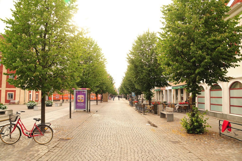 DSC_0616 (2)-001.JPG