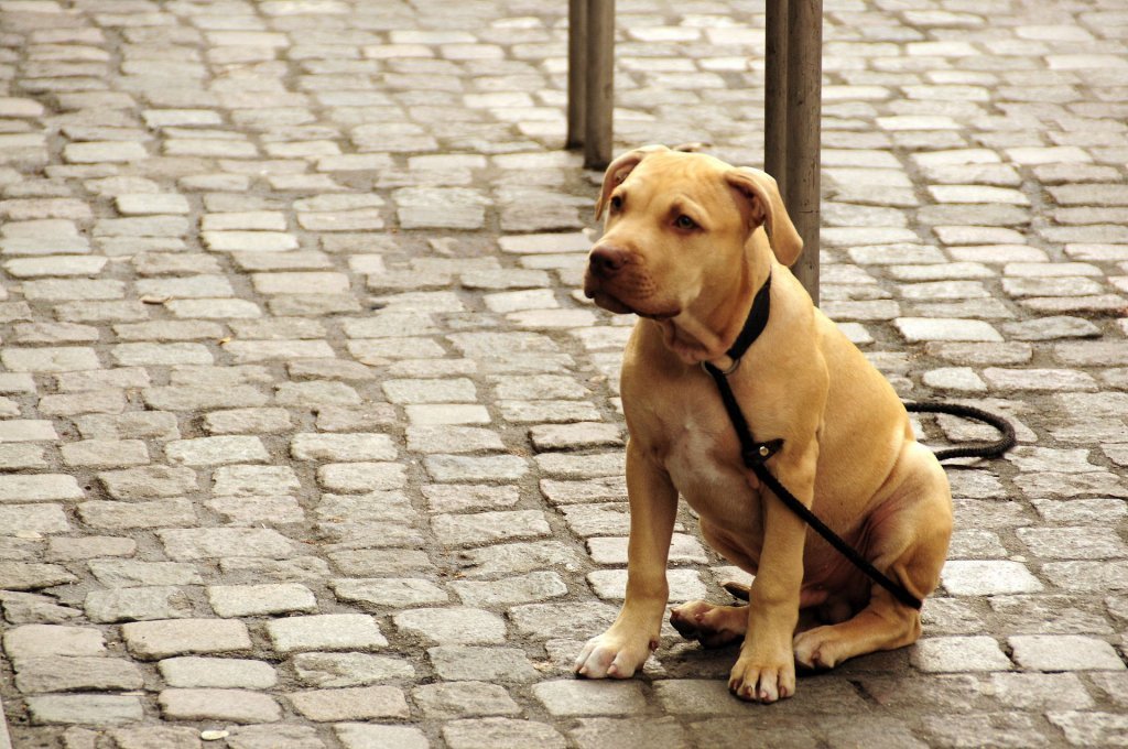 DSC_0620 (2)-001.JPG