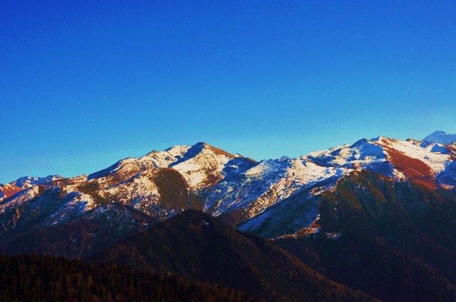 DSC_0644.jpg