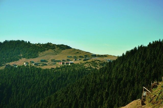 DSC_0646.jpg