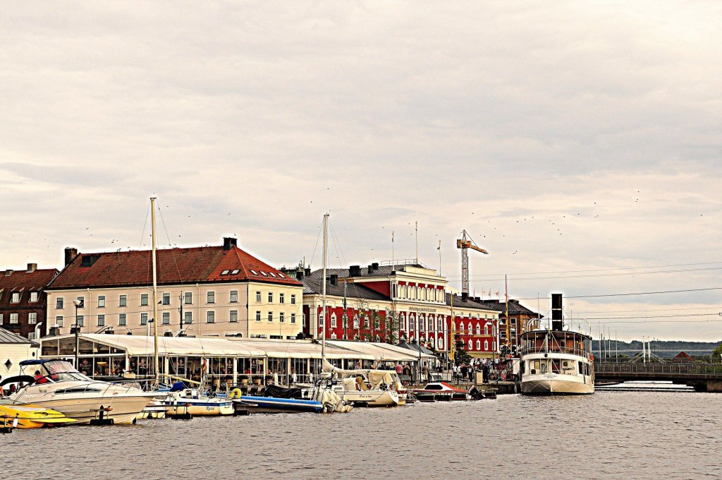 DSC_0684 (2)-001.JPG