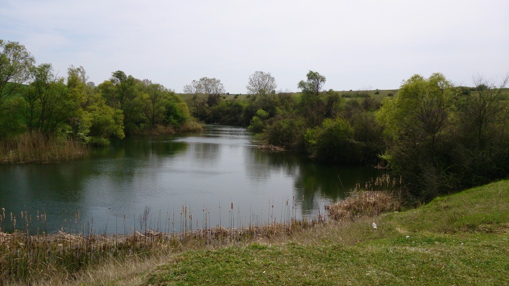 DSC_0726.JPG