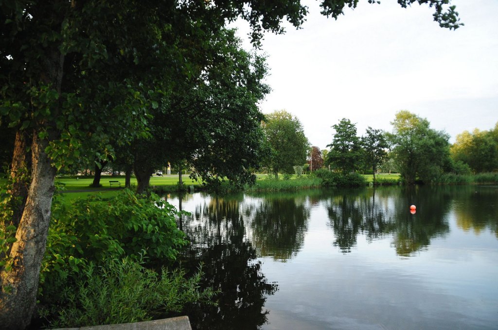 DSC_0736 (2)-001.JPG