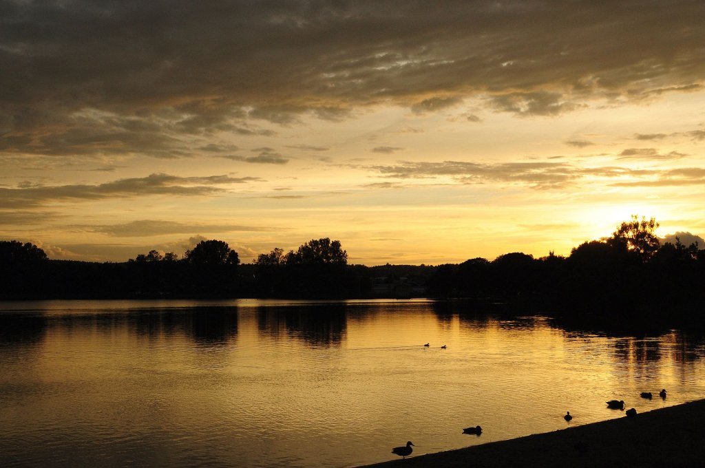 DSC_0753 (2)-001.JPG