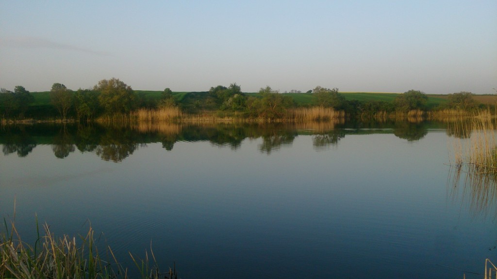 DSC_0771.JPG