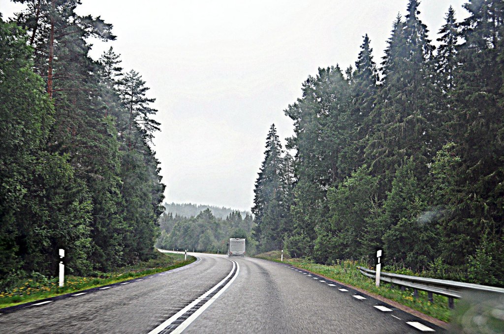 DSC_0816 (2)-001.JPG