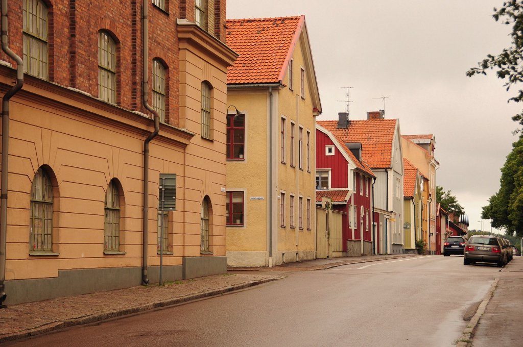 DSC_0833 (2)-001.JPG