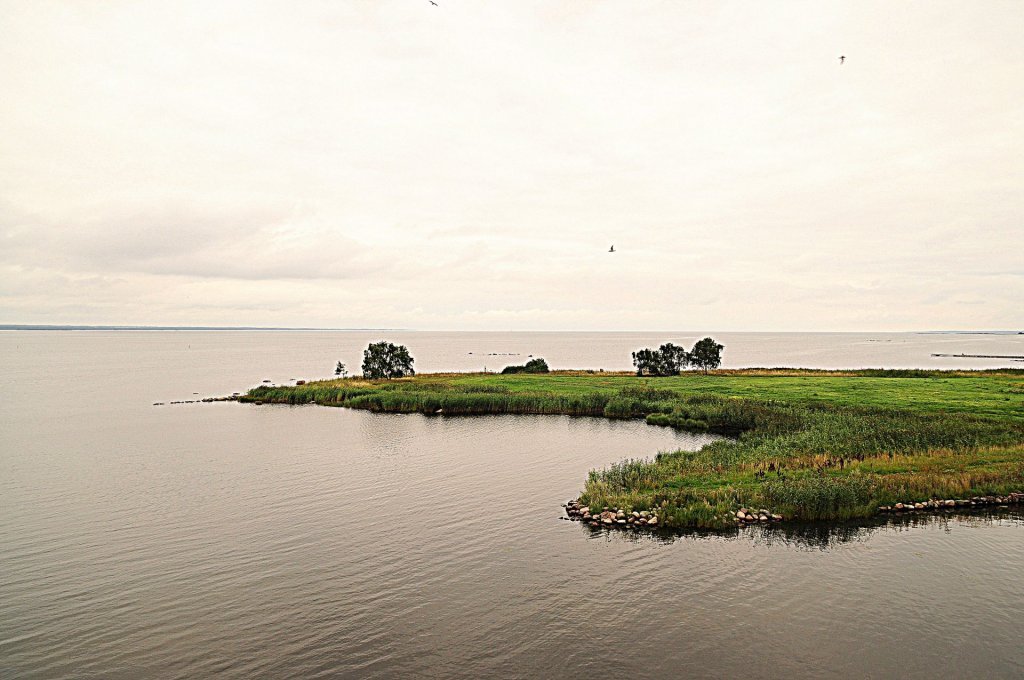 DSC_0928 (2)-001.JPG