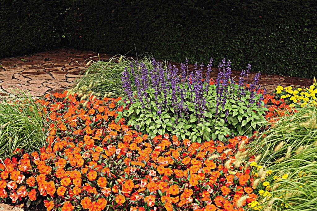 DSC_0933 (2)-001.JPG