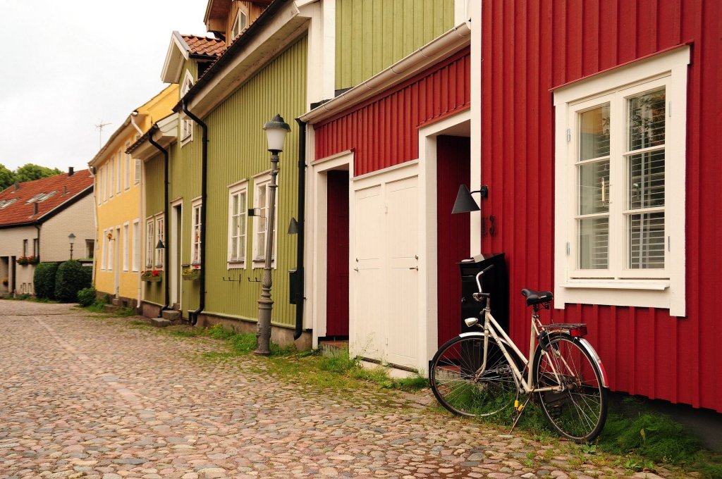 DSC_0955 (2)-001.JPG