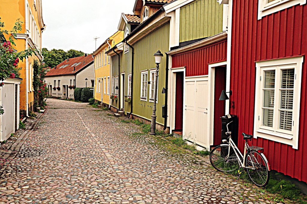 DSC_0956 (2)-001.JPG