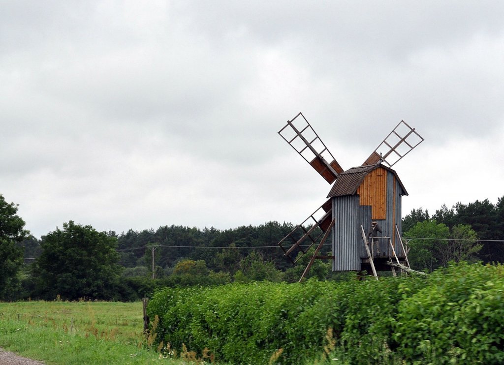 DSC_0992 (2)-001.JPG