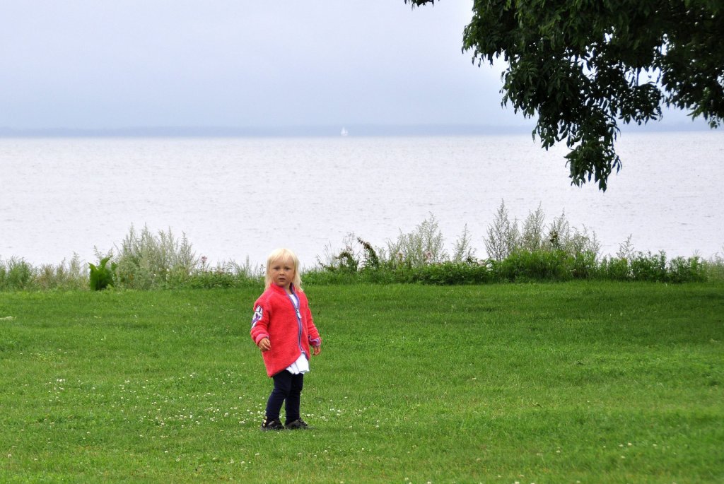 DSC_1003 (2)-001.JPG