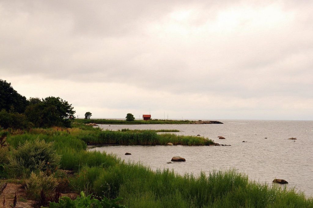 DSC_1031 (2)-001.JPG