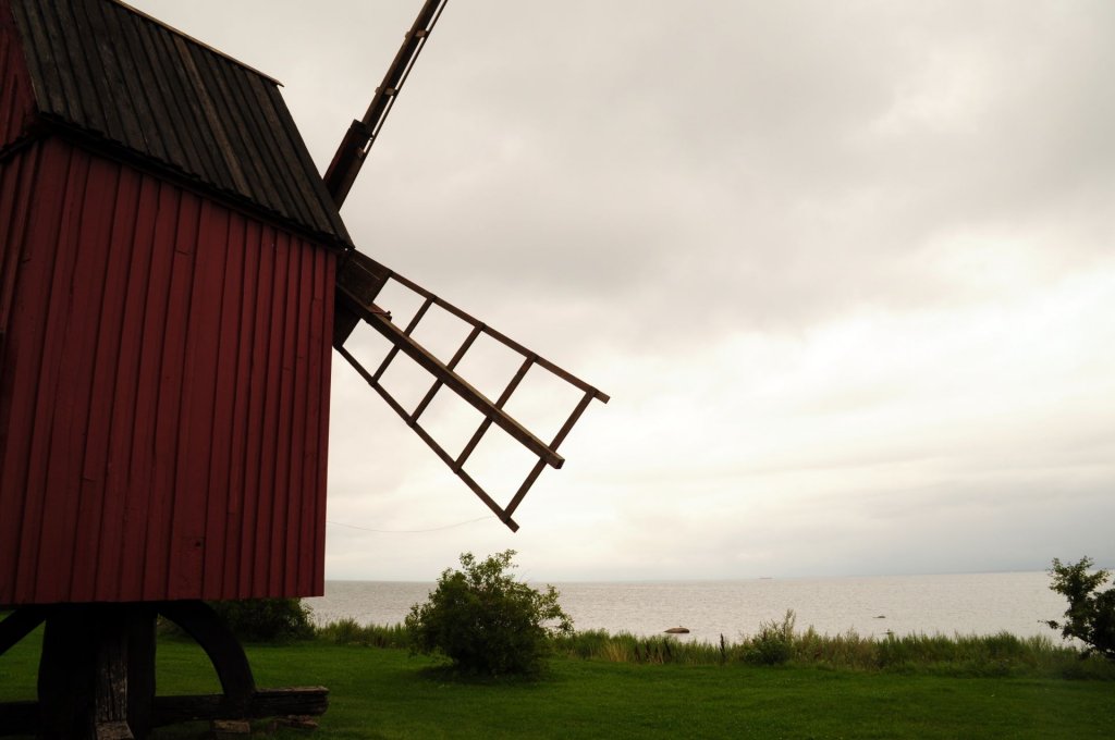 DSC_1034 (2)-001.JPG