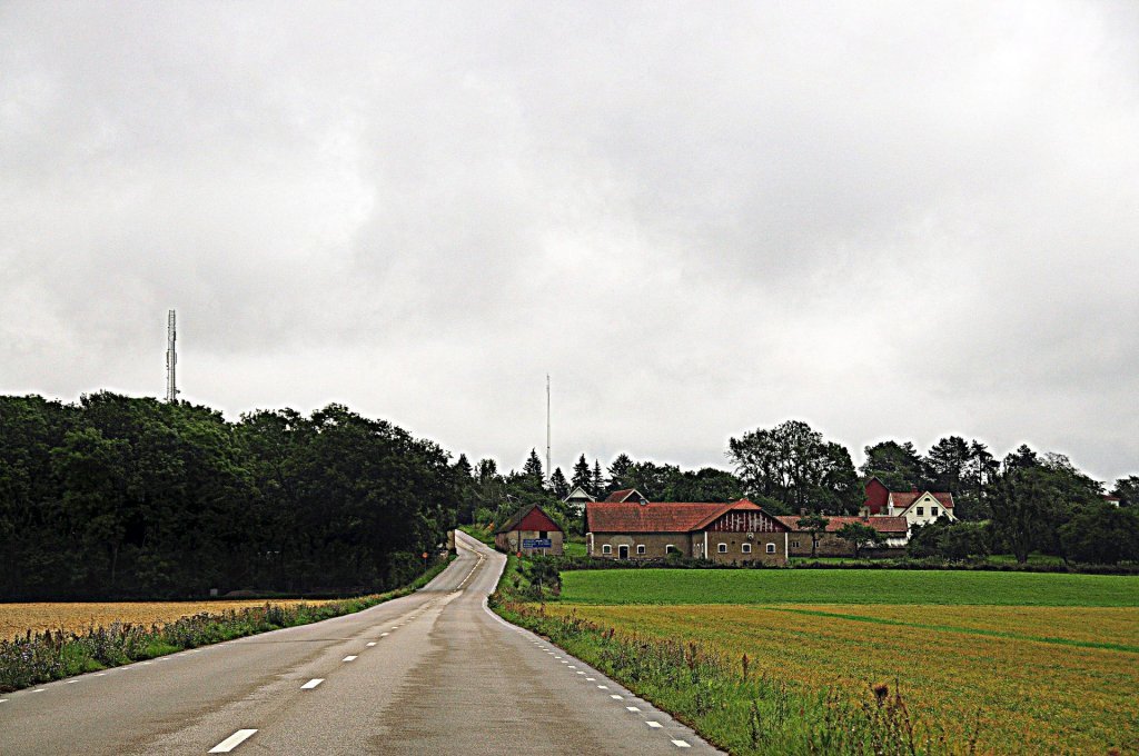 DSC_1042 (2)-001.JPG