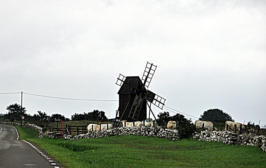 DSC_1050 (2)-001.JPG