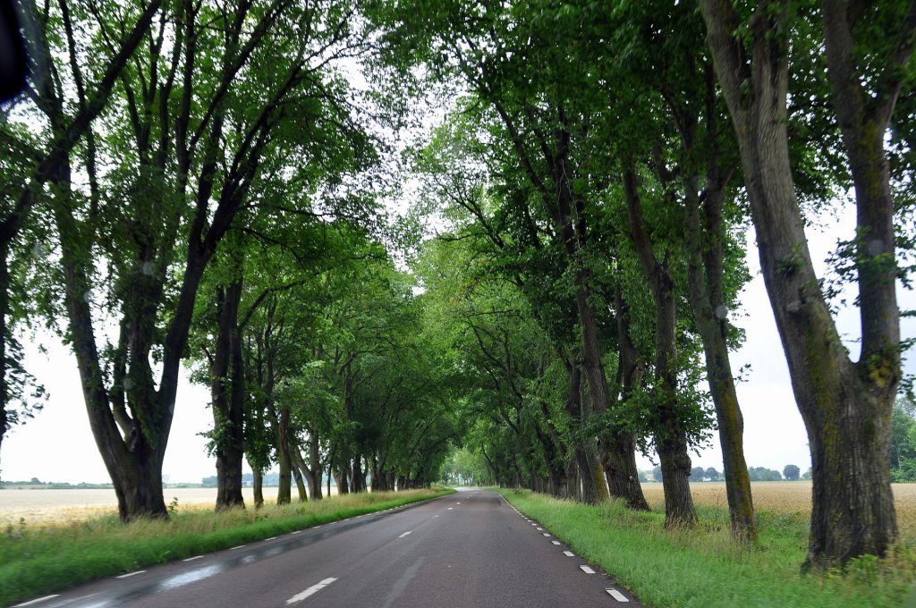 DSC_1056 (2)-001.JPG