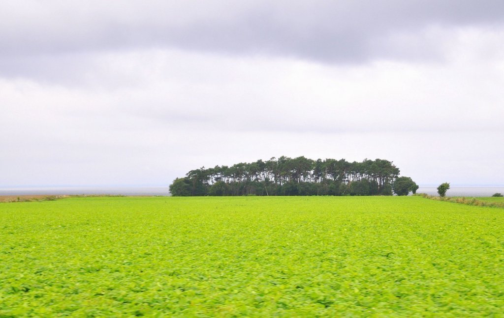 DSC_1060 (2)-001.JPG