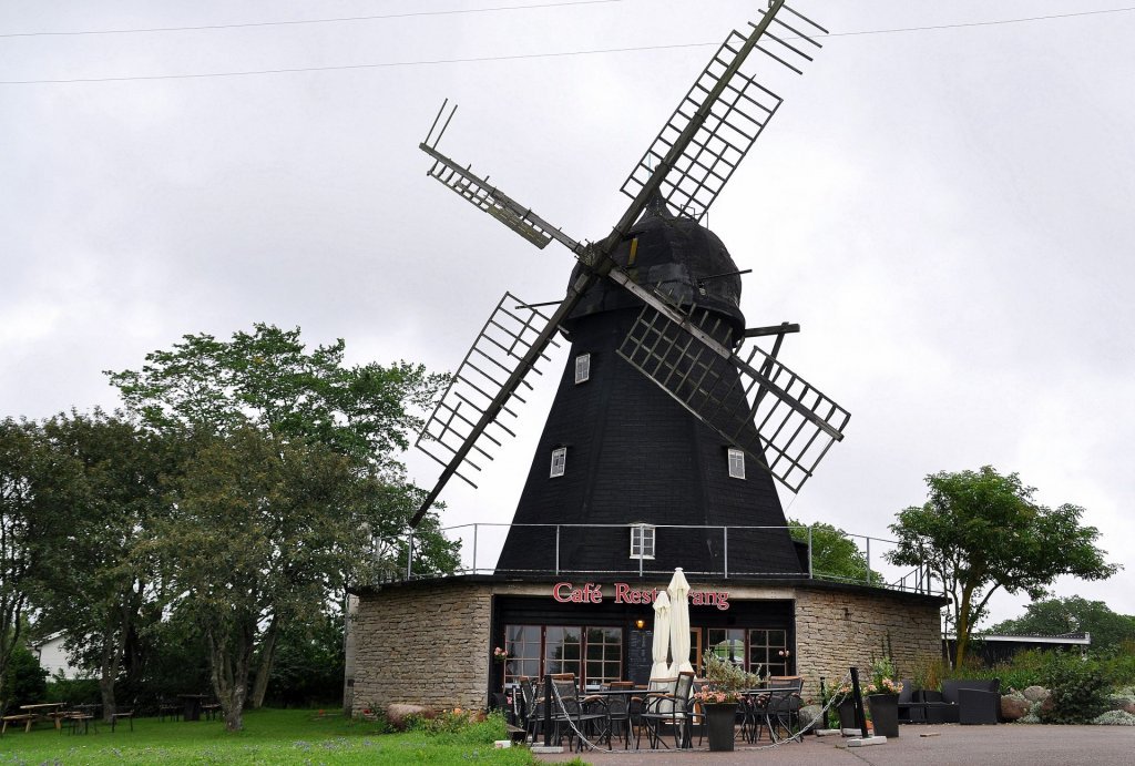 DSC_1064 (2)-001.JPG