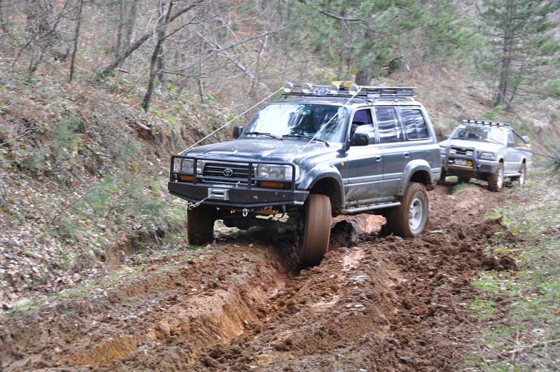 DSC_1243.jpg