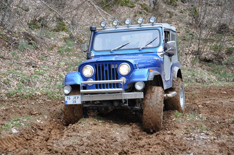 DSC_1339.jpg