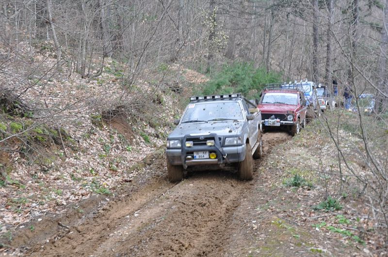 DSC_1386.jpg