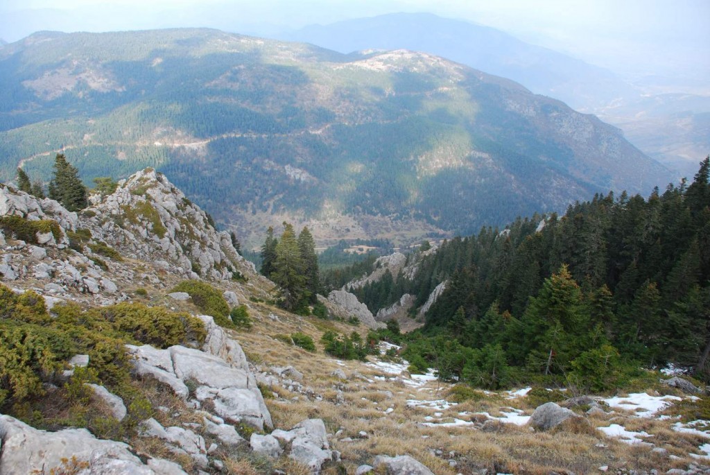 DSC_1397.JPG