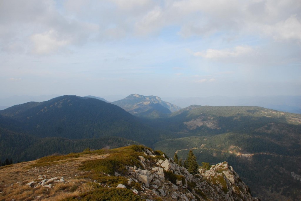DSC_1399.JPG