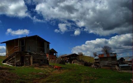 DSC_4007-cropv[1] - Kopya.jpg