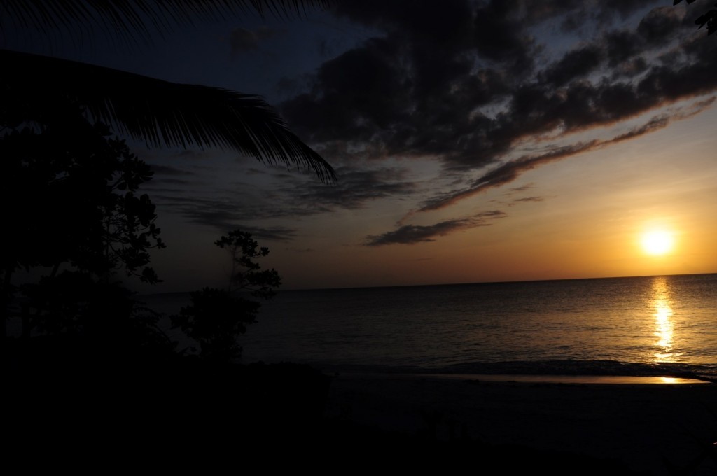 DSC_4133 (Large).JPG