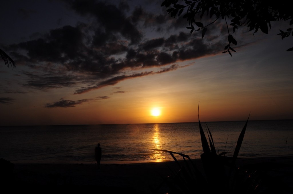 DSC_4136 (Large).JPG