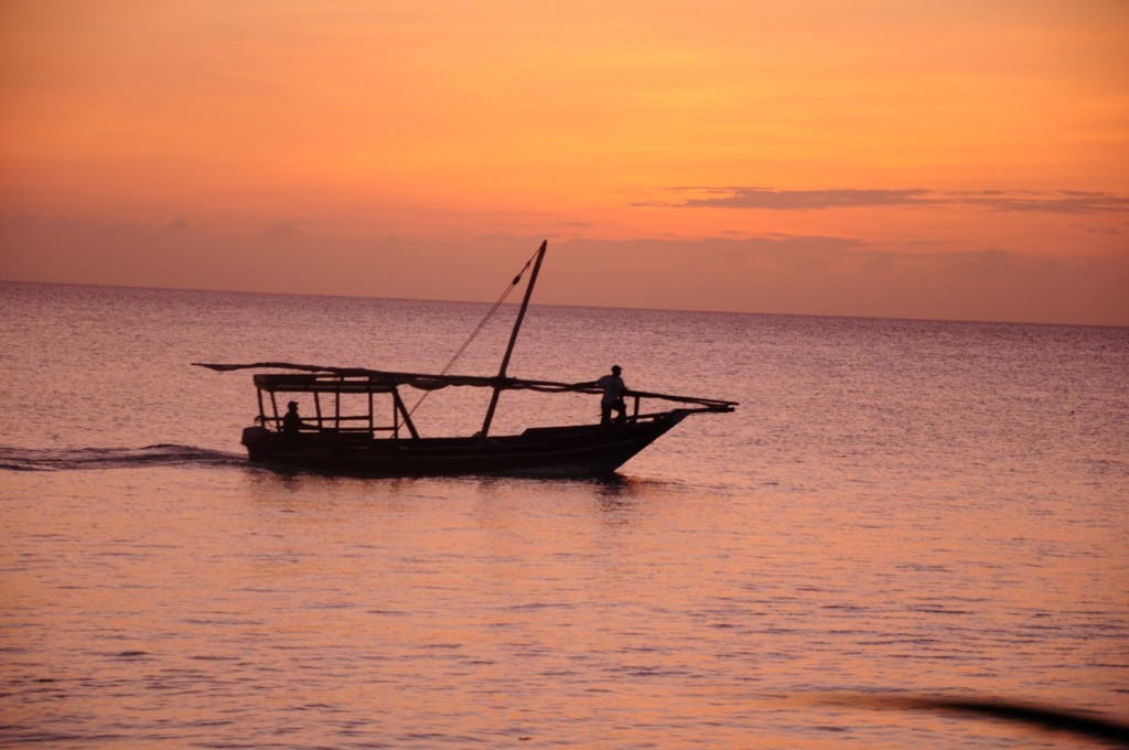 DSC_4157 (Large).JPG