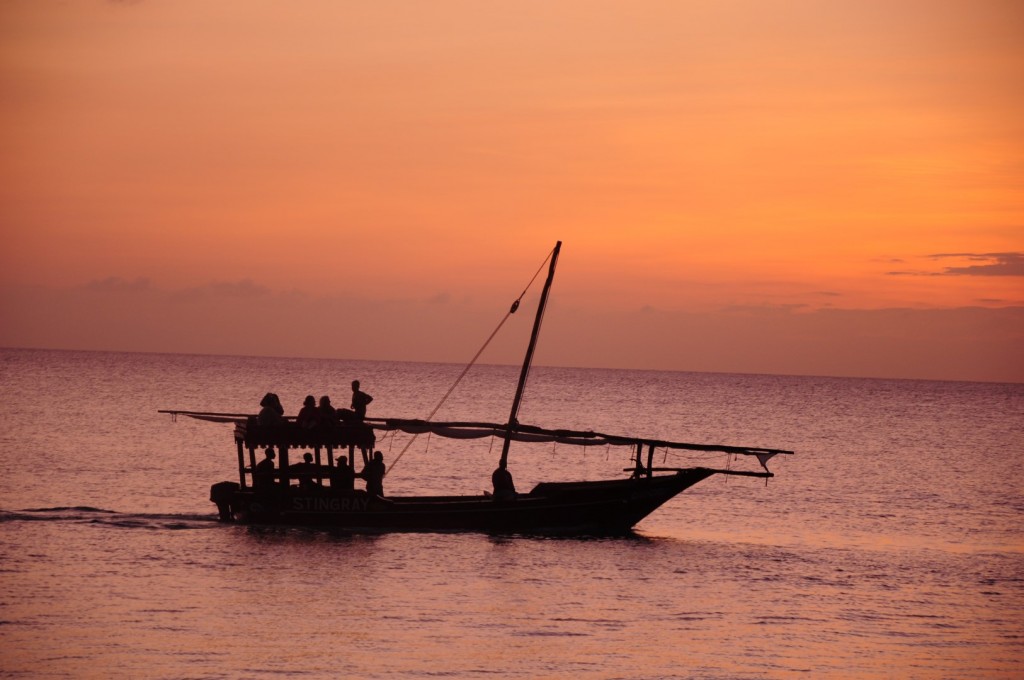 DSC_4161 (Large).JPG