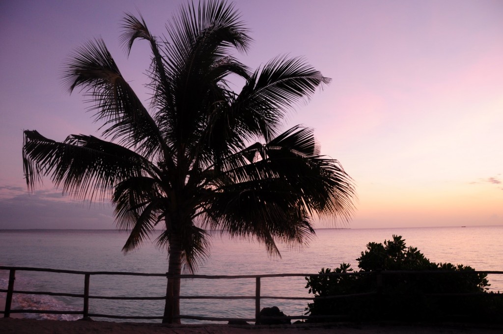 DSC_4166 (Large).JPG