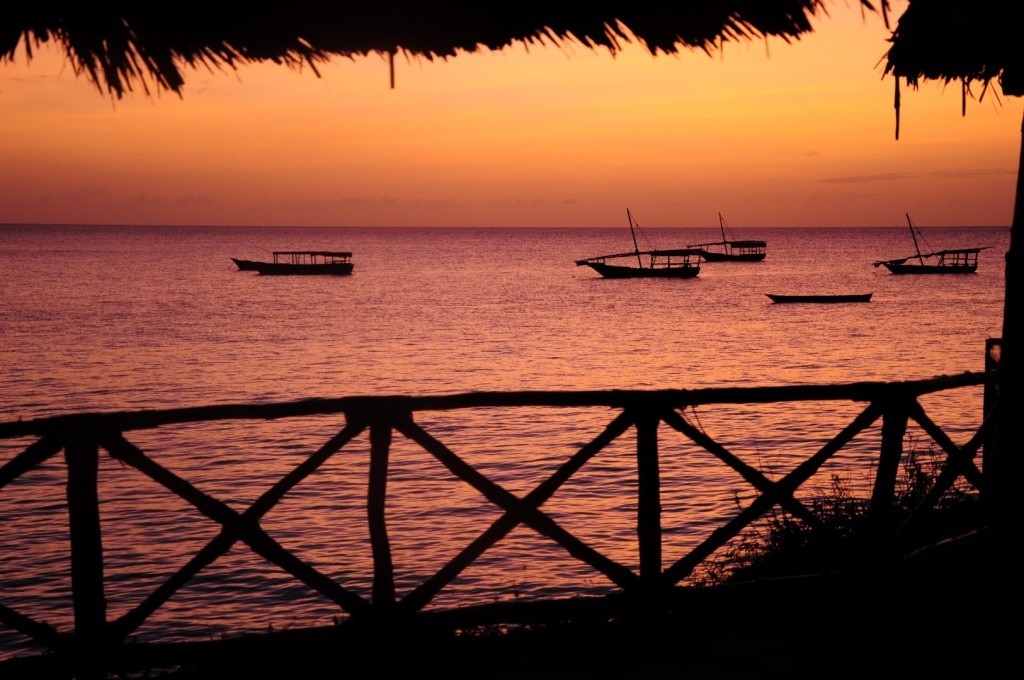 DSC_4177 (Large).JPG