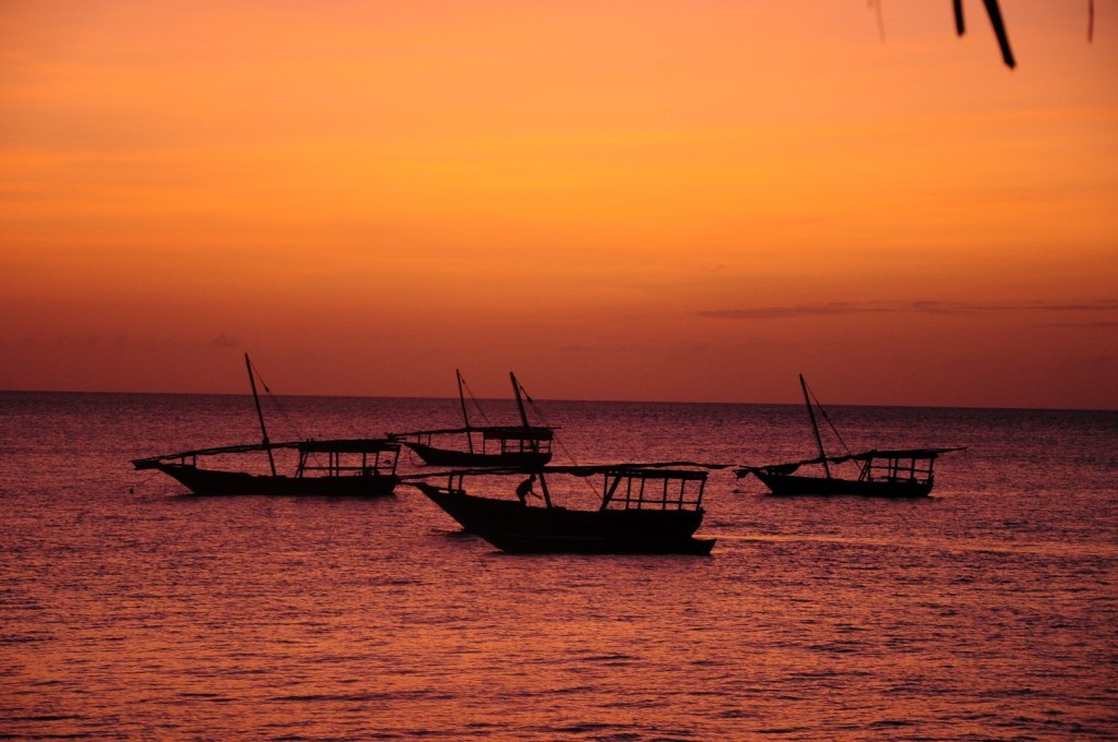 DSC_4184 (Large).JPG