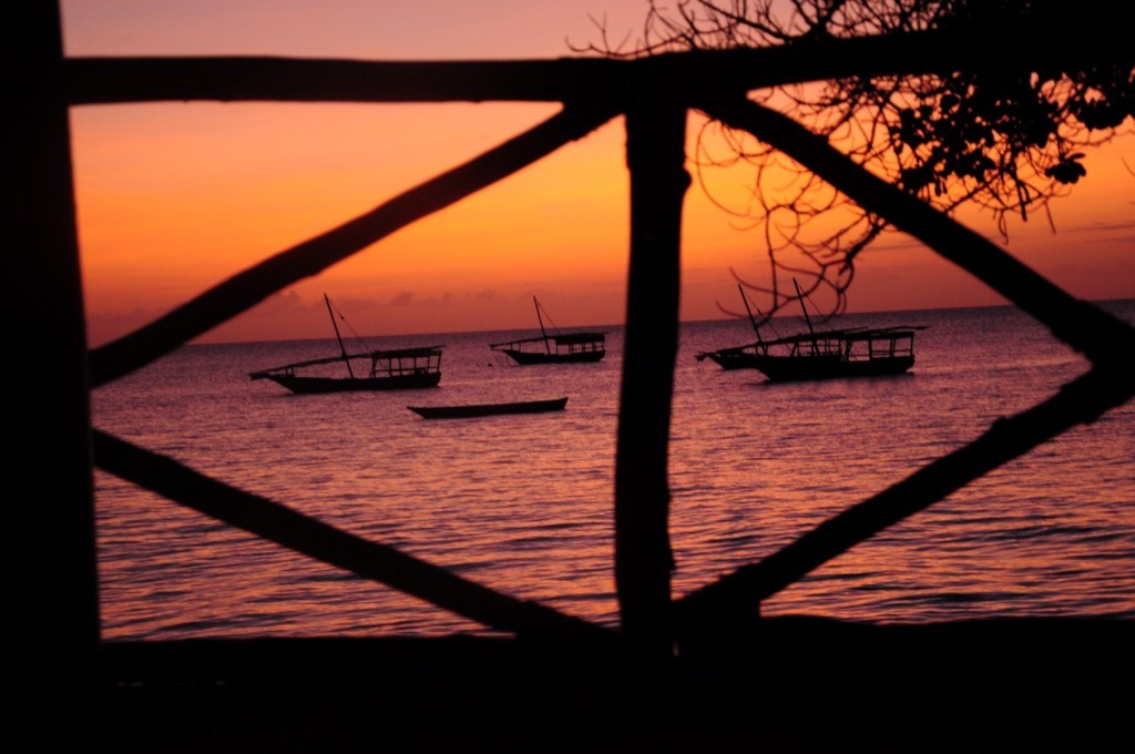 DSC_4195 (Large).JPG