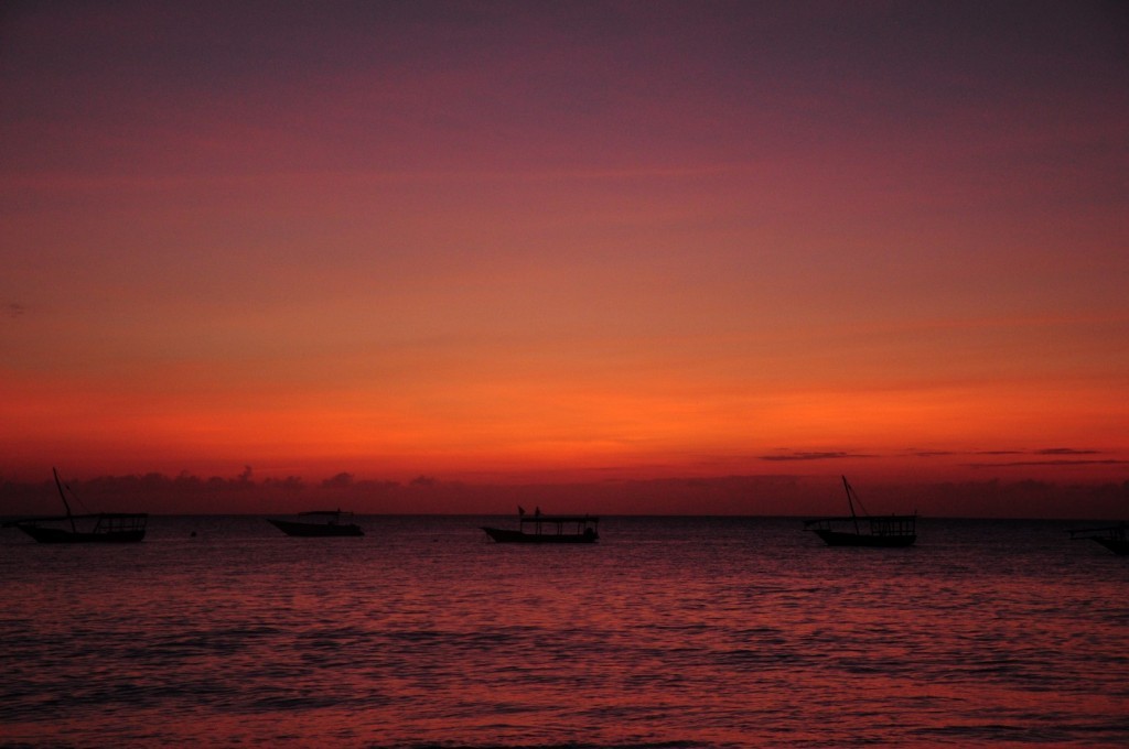 DSC_4201 (Large).JPG