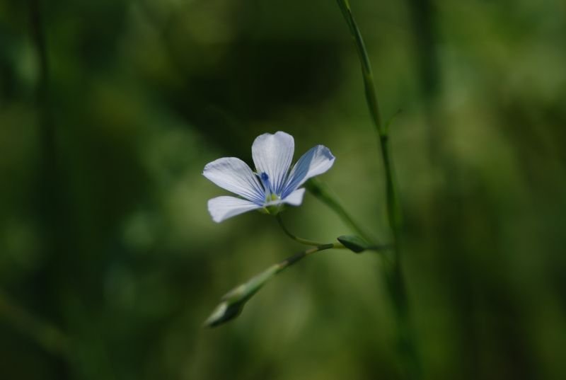 DSC_5174.jpg