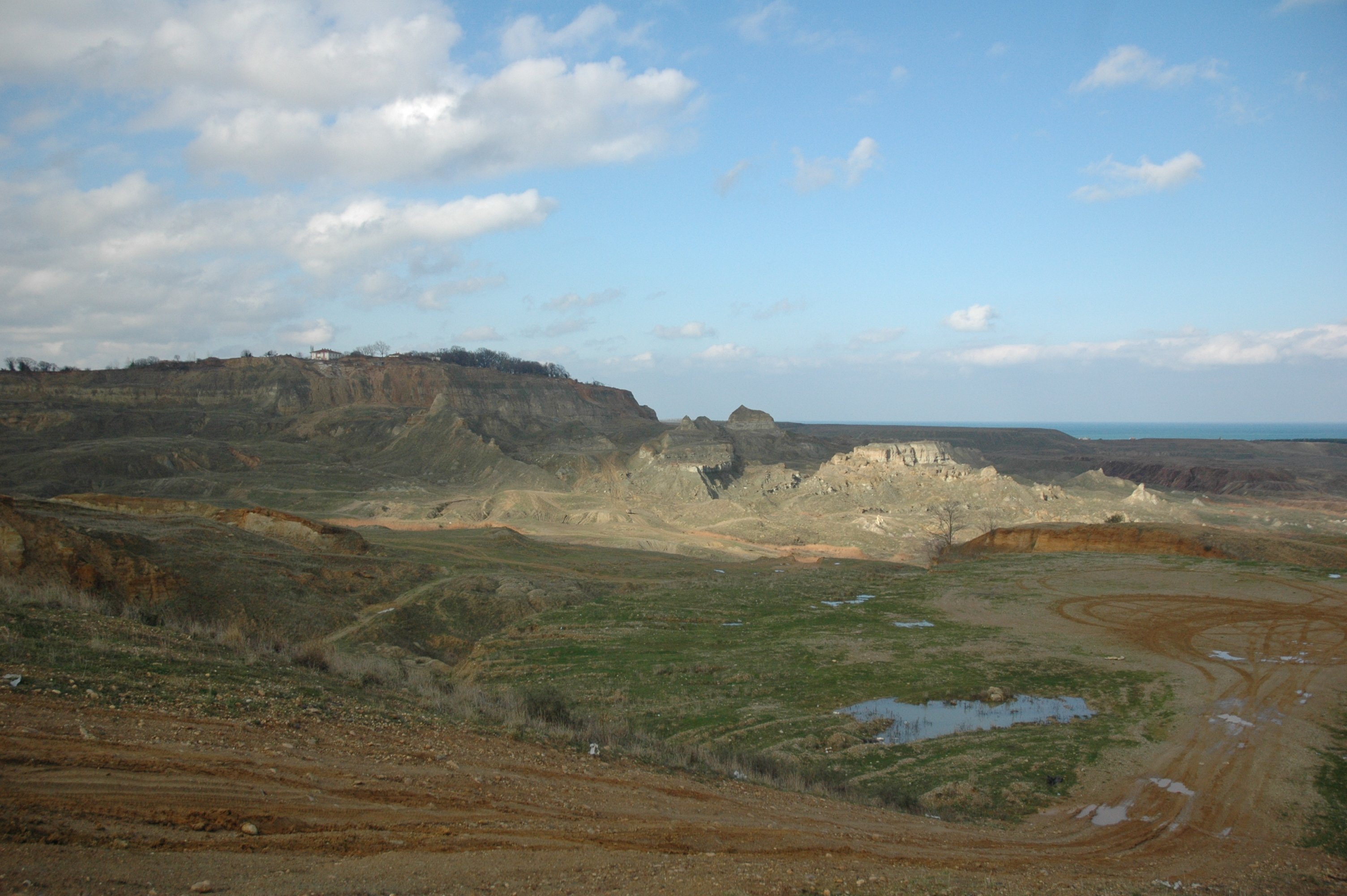 DSC_5342.jpg