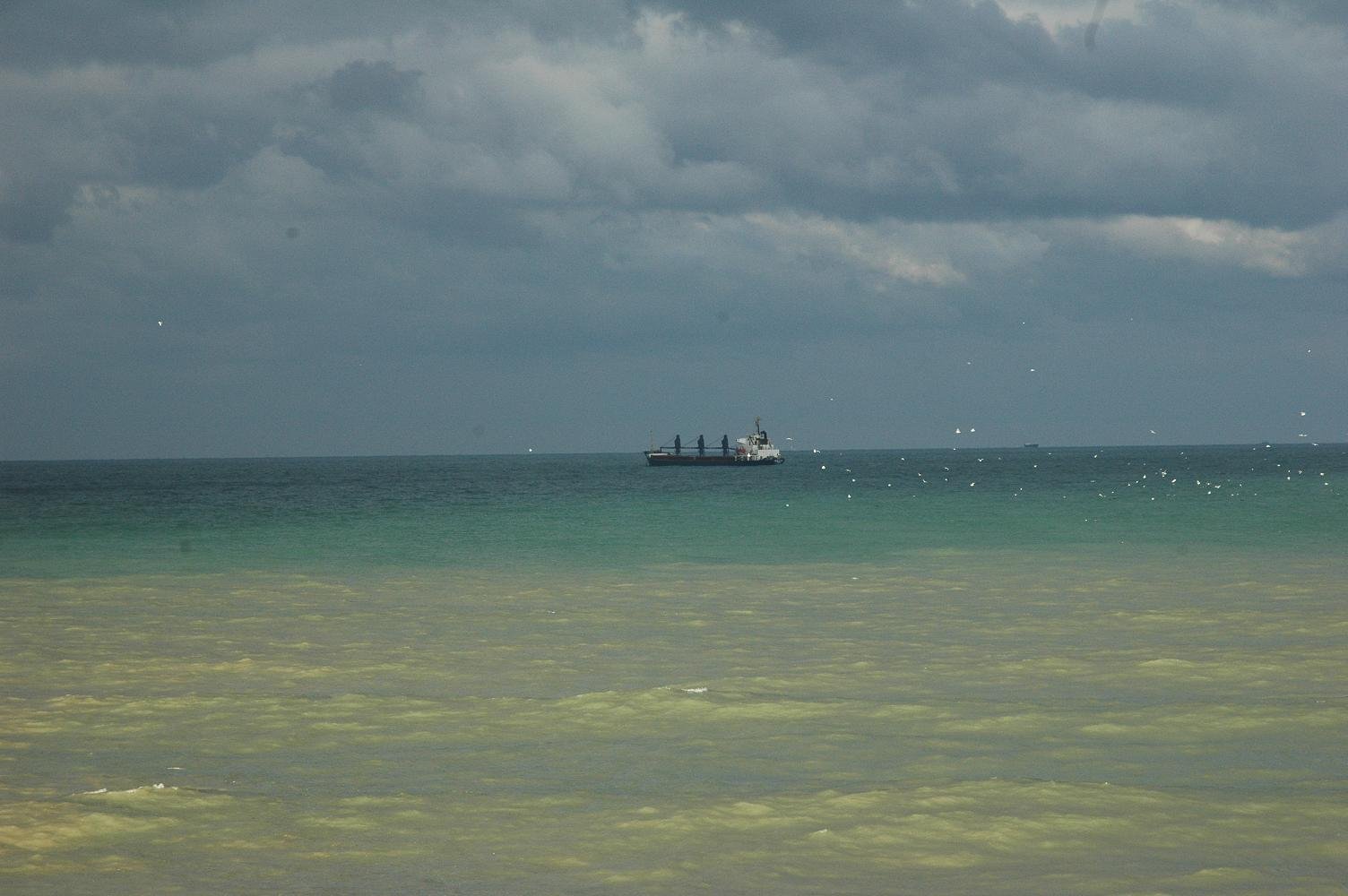 DSC_5379.jpg