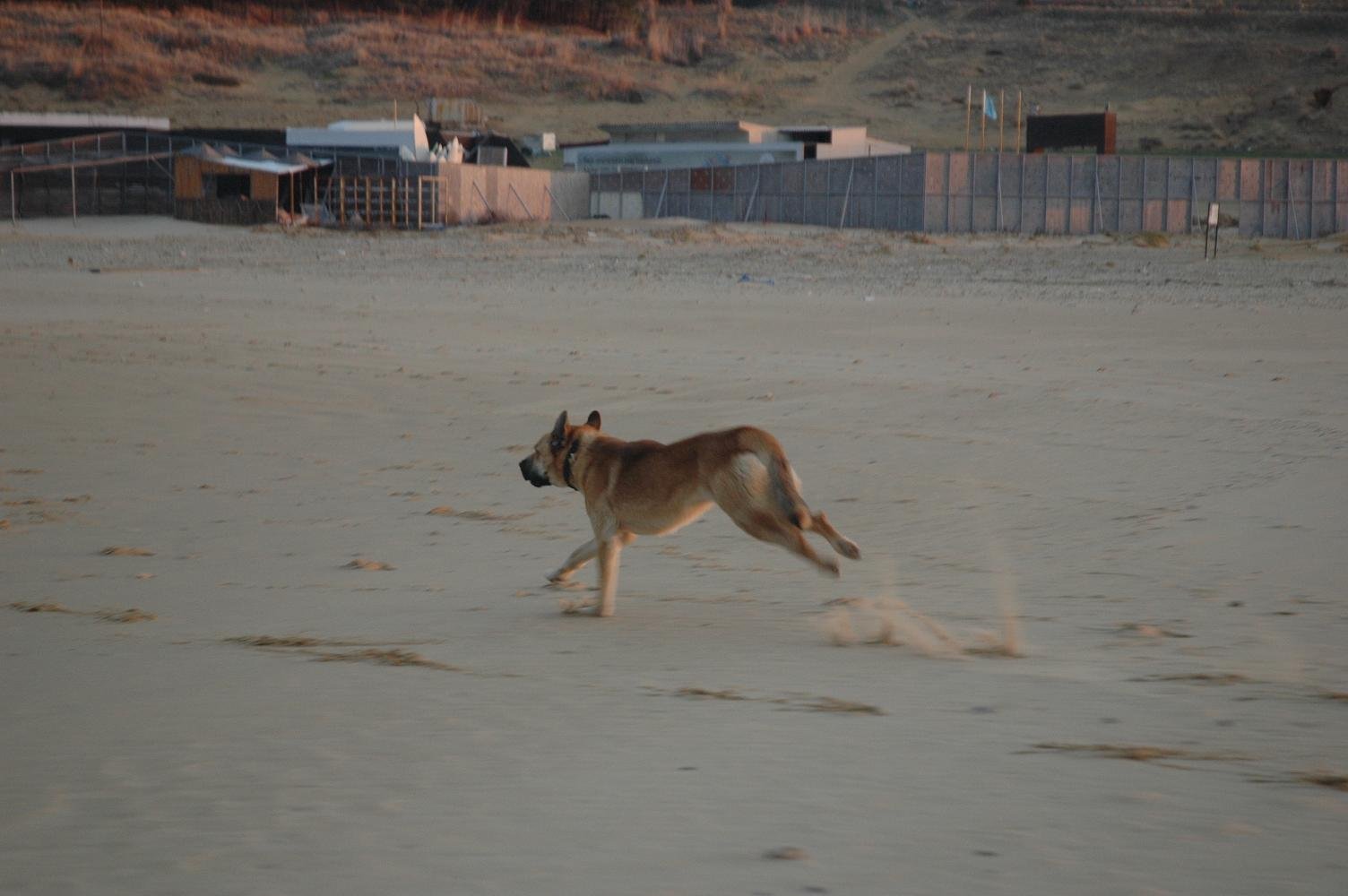 DSC_5441.jpg