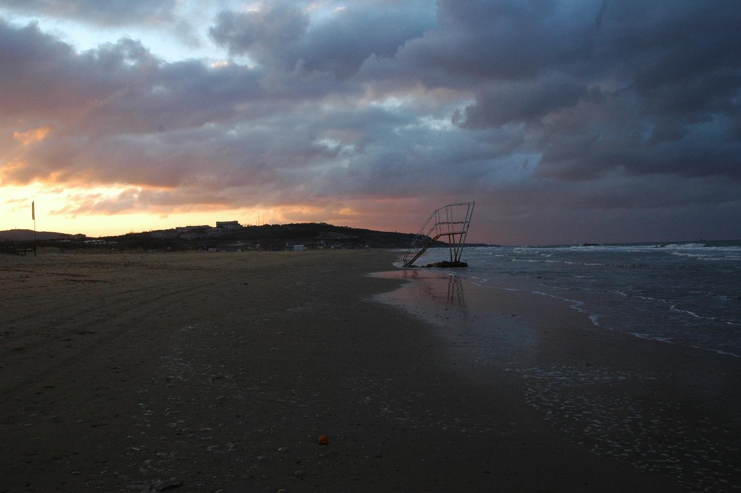 DSC_5445.jpg