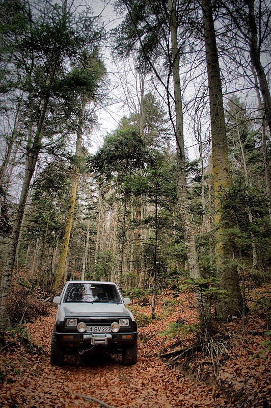 DSC_6245_fhdr.jpg