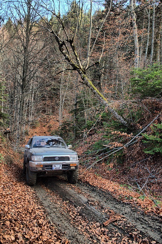 DSC_6298_fhdr.jpg