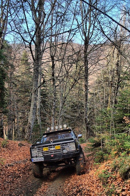 DSC_6306_fhdr.jpg