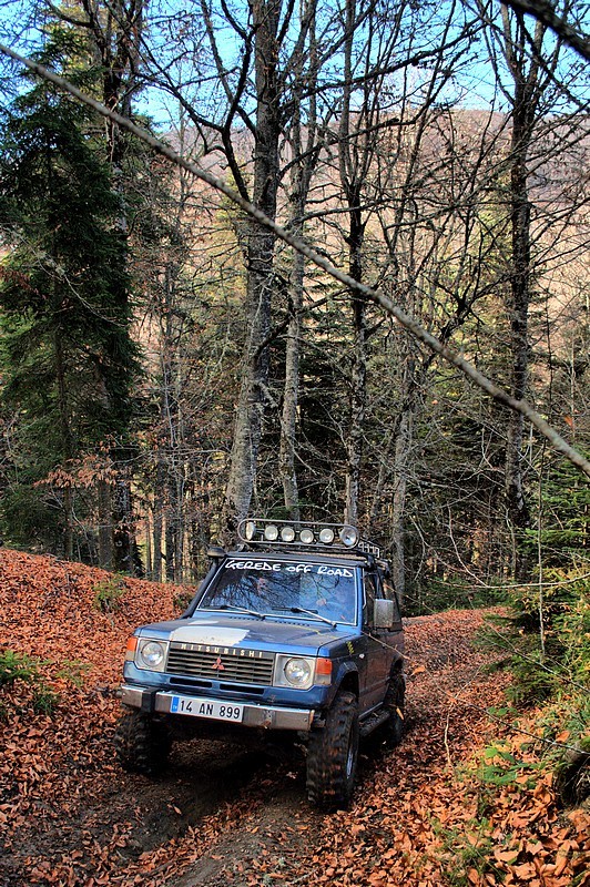 DSC_6307_fhdr.jpg