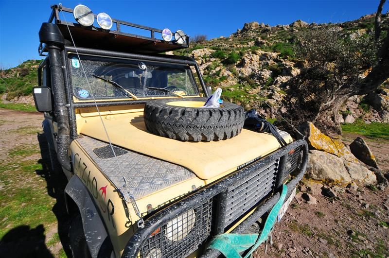 DSC_6458 (Medium).jpg